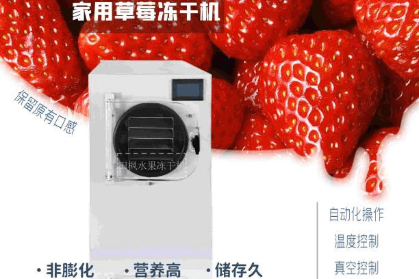 揭秘草莓凍干機的神奇魔力
