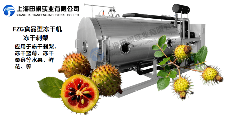 冷凍干燥機在刺梨保鮮與加工中的新應用解決方案