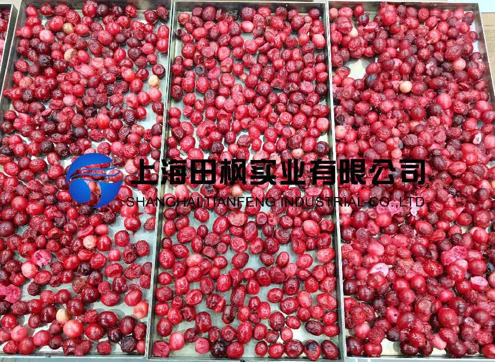 蔓越莓凍干：水果真空冷凍干燥機應用