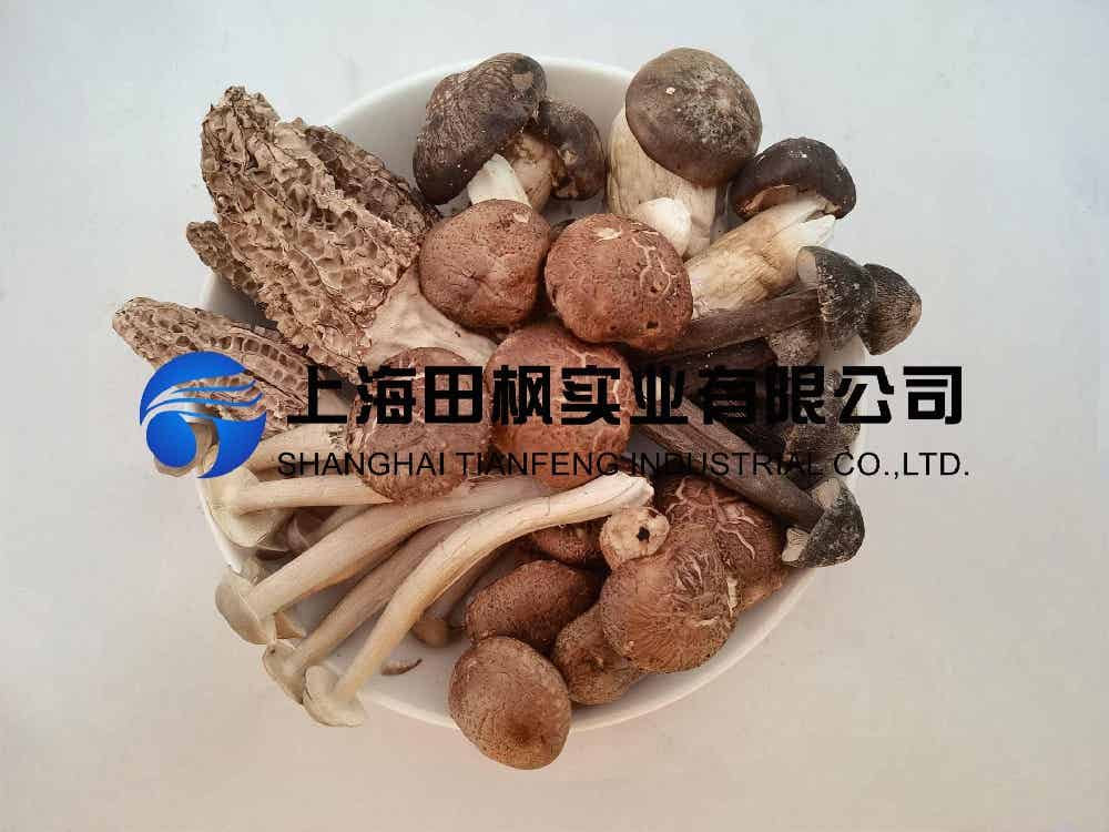 野生菌凍干：野生菌凍干機制作凍干海鮮菇技術