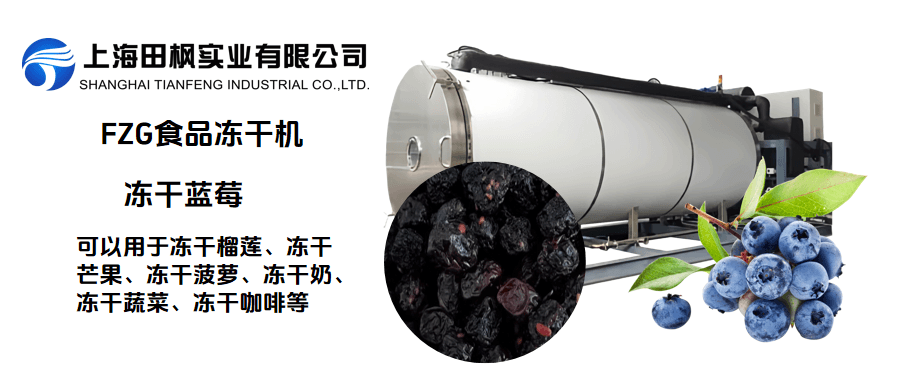凍干藍莓，豐富的花青素