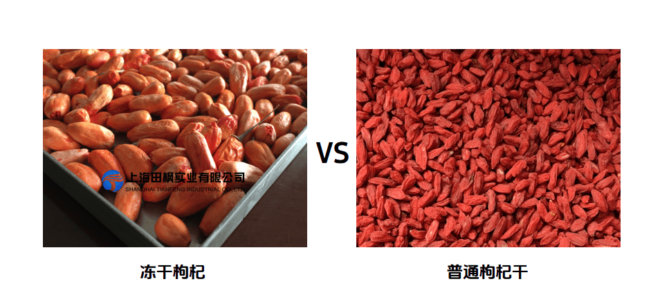 冷凍干燥機(jī)凍干枸杞優(yōu)勢(shì)介紹