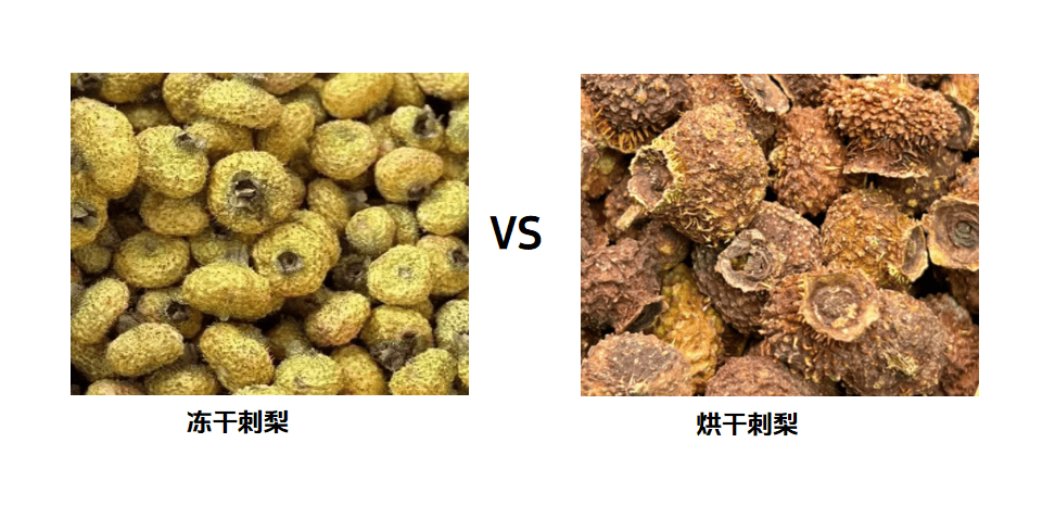 凍干刺梨粉、凍干整顆刺梨生產(chǎn)工藝流程
