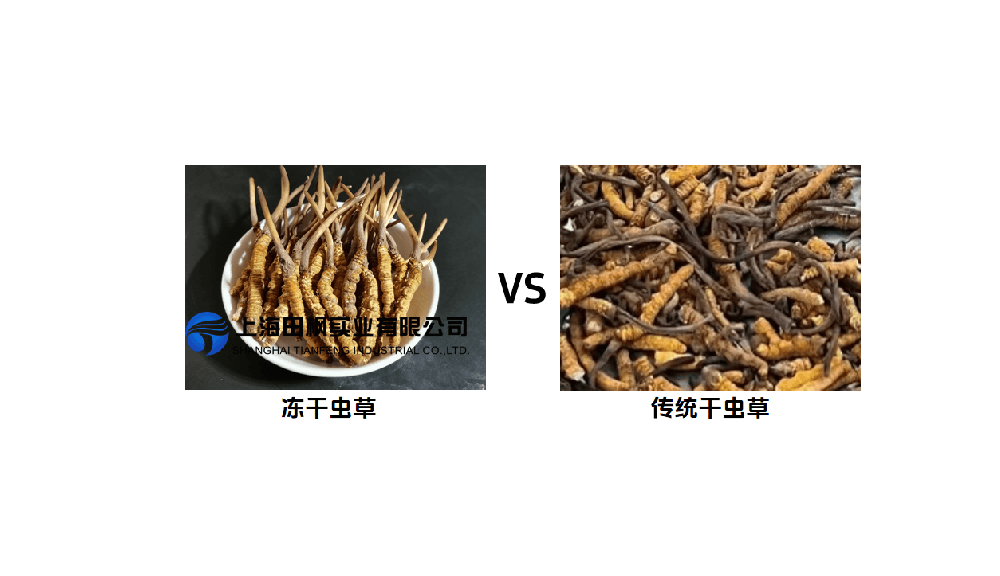 冬蟲夏草冷凍干燥機，活性成分保護留